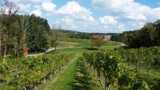 Balla Cloice Vineyard