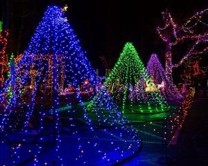 Lights