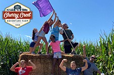 Corn Maze