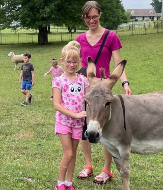 Donkey