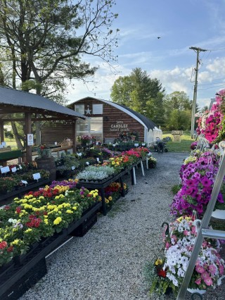 Farm Stand