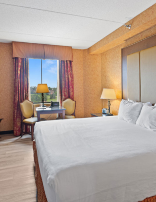 King Whirlpool Suite