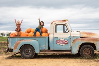 Pumpkins