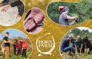 HFC Cover Image 2024