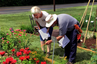 Master Gardeners