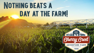 Nothing Beats a Day at the Farm