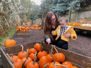 Pumpkin Alley at Corn Cob Acres