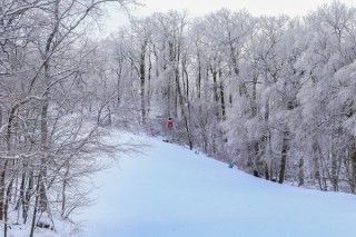 Winter Slopes