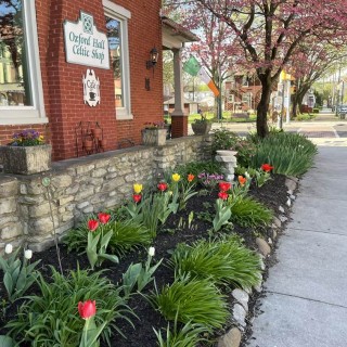 Everything is beautiful in spring