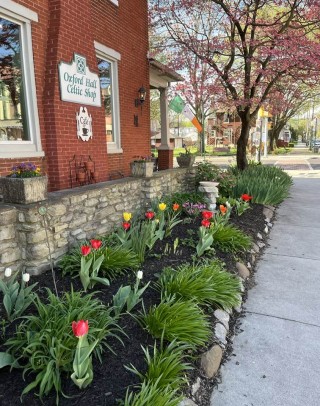 Everything is beautiful in spring