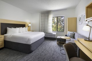 Studio King Suite