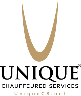 Unique CS Logo
