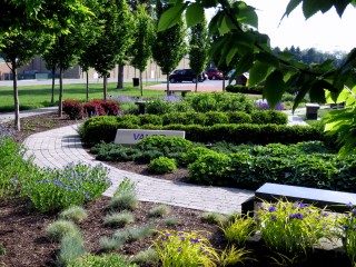 Veterans Memorial Gold Star Garden