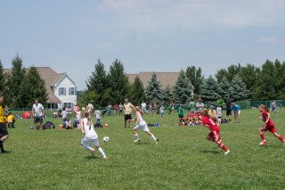 York Township