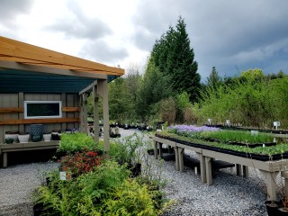 sales area